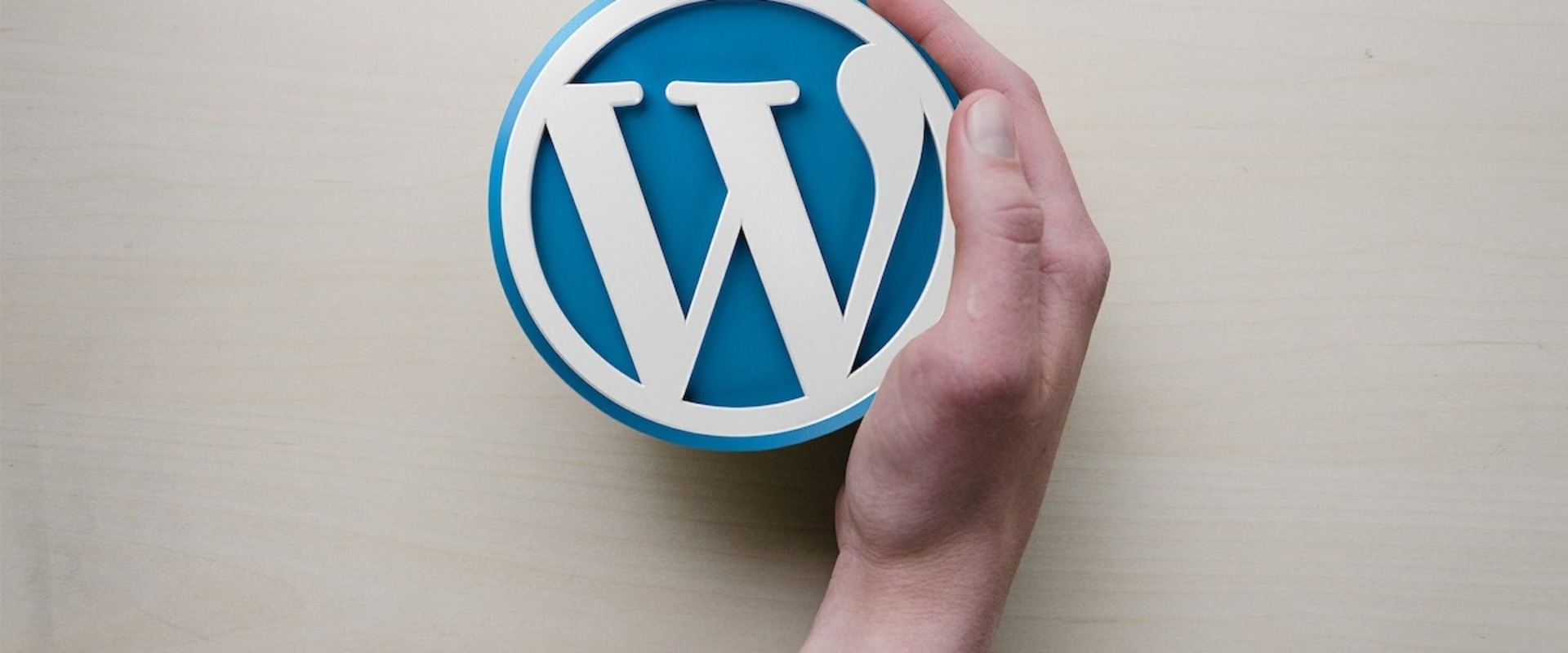 Will WordPress Continue to be a Viable Career Choice in the Future?