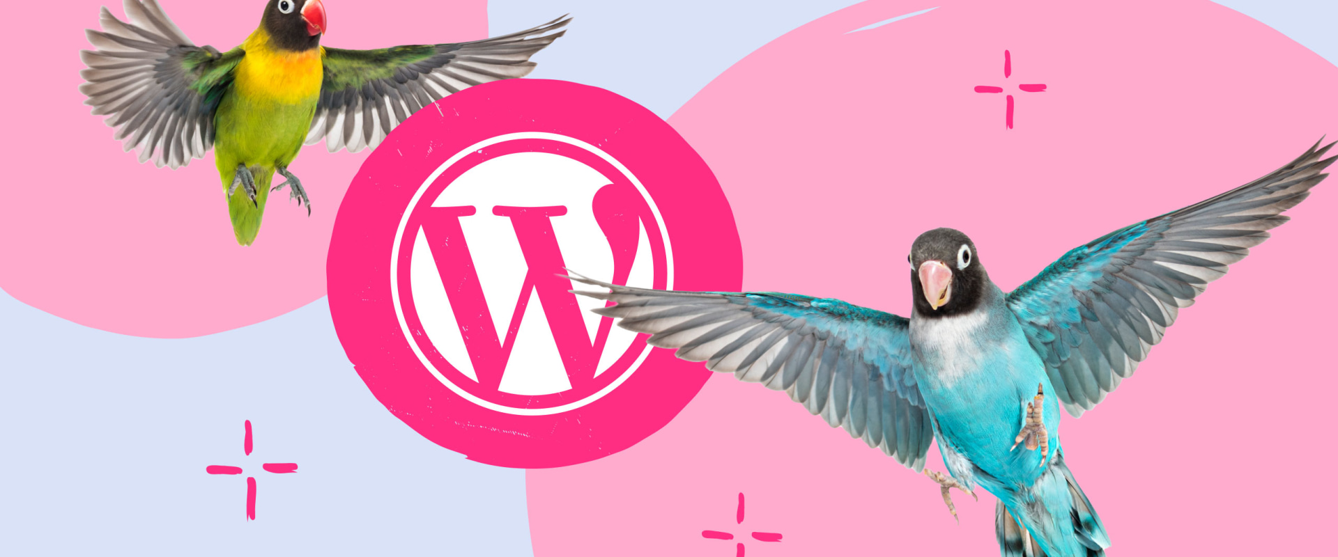 What are the most important considerations when developing a custom theme on a wordpress website in sydney?